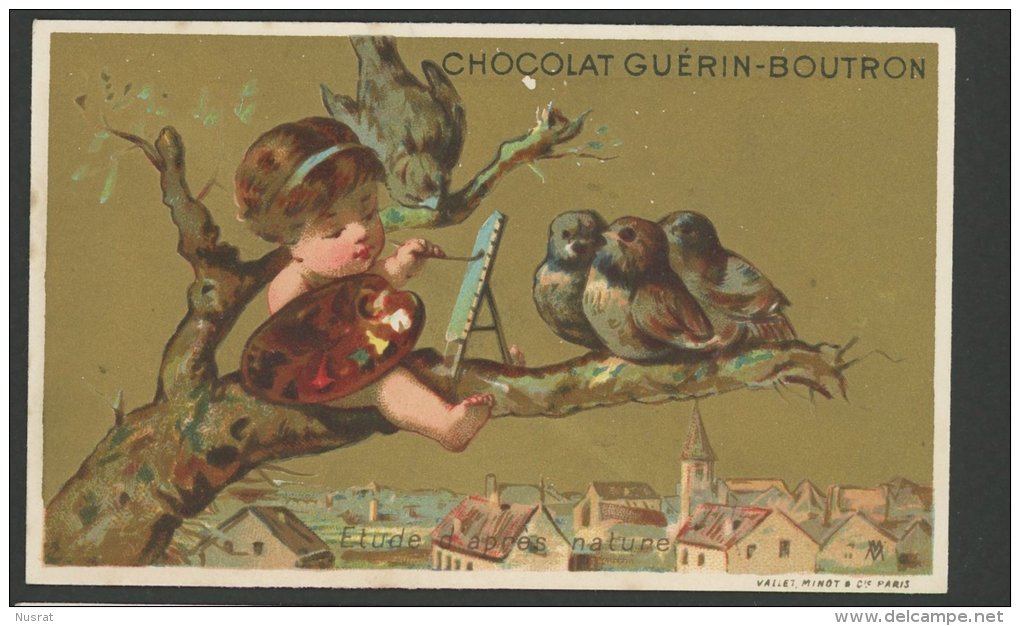 Chocolat Guérin Boutron, Jolie Chromo Lith. Vallet Minot, Etude D'après Nature, Enfant Sur Branche Avec Oisillons - Guérin-Boutron