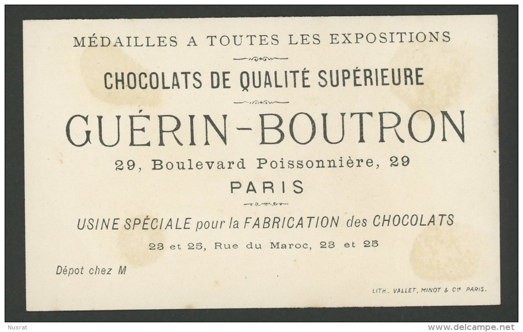 Chocolat Guérin Boutron, Jolie Chromo Lith. Vallet Minot, Etude D'après Nature, Enfant Sur Branche Avec Oisillons - Guérin-Boutron