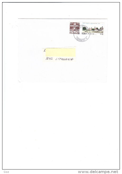 DANIMARCA 2004 -  Unificato 1326 Su Lettera Per La Lituania - Cartas & Documentos