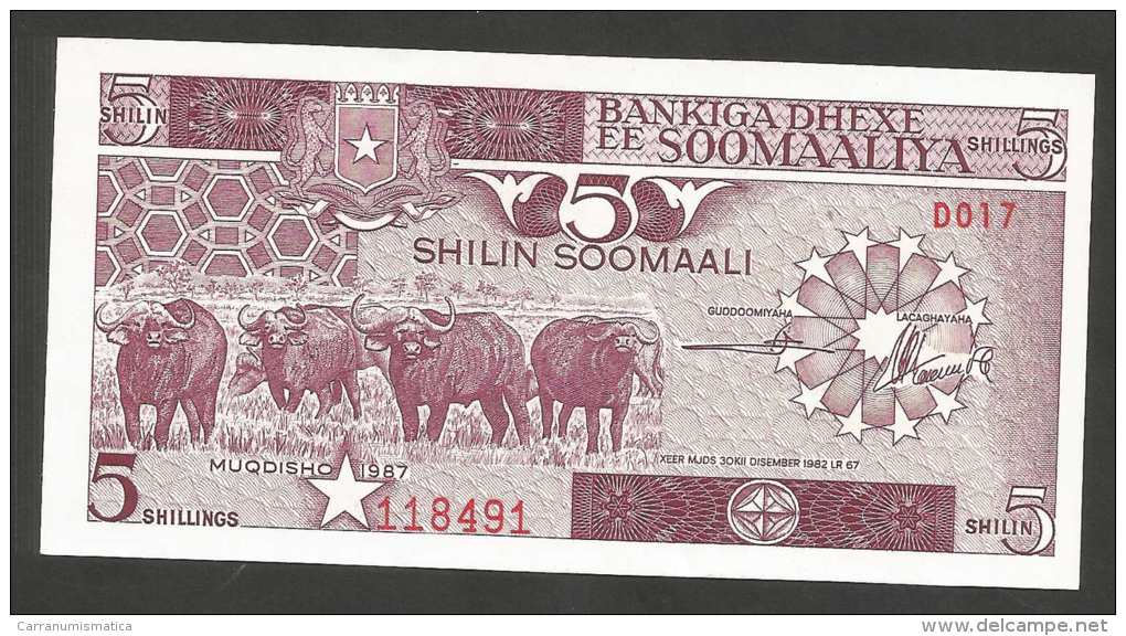 [NC] SOMALIA - CENTRAL BANK Of SOMALIA - 5 SHILLINGS (MOGADISCIO - 1987) - Somalia