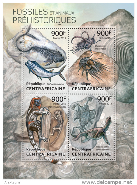 CENTRAL AFRICA 2013 - Fossils Of Prehistoric Animals. Official Issue - Pesci