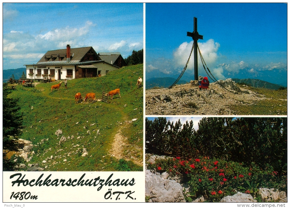 AK Schutzhütte Berghütte Hochkarschutzhaus ÖTK Göstling An Der Ybbs Hochkargipfel Hütte Österreich Austria Autriche Alps - Scheibbs