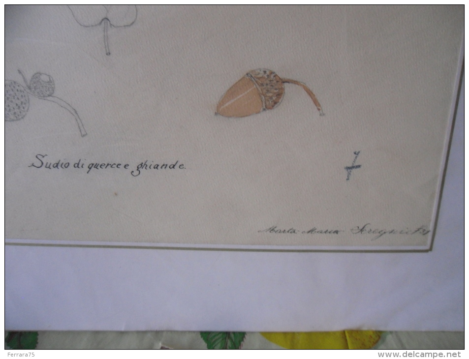 VECCHIO DISEGNO ACQUARELLO  FIRMATO SEREGNI ANNI 30 - Dessins