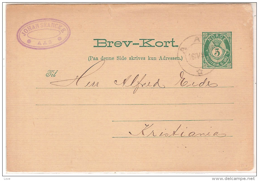 AAS (Norvège): Entier Postal à 5ore Obl. Aas En 1891 - Postwaardestukken