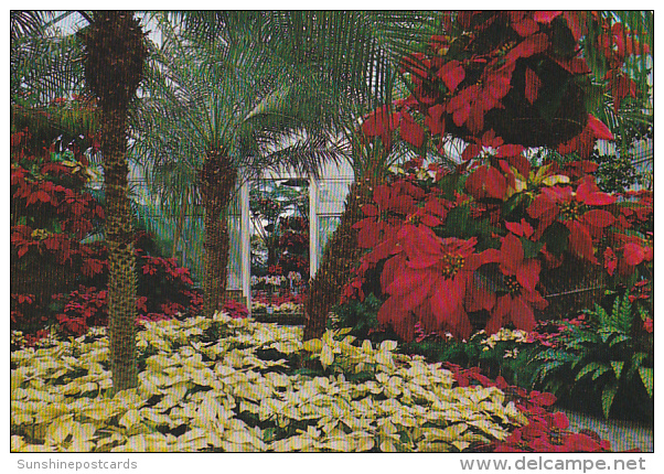 Interior View Of Conservatory Bellingrath Gardens Theodore Near Mobile Alabama - Mobile