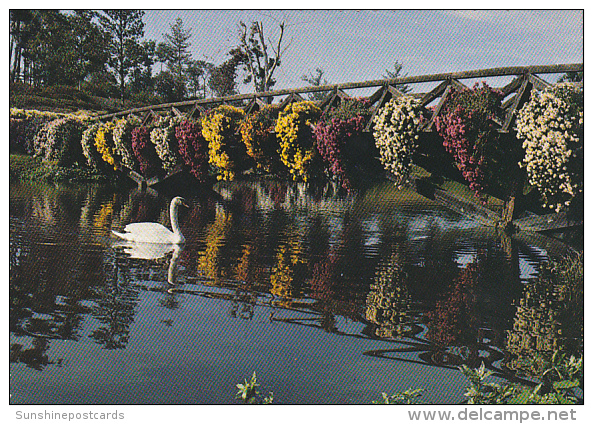 Rustic Bridge Over Mirror Lake Bellingrath Home Bellingrath Gardens Theodore Near Mobile Alabama - Mobile