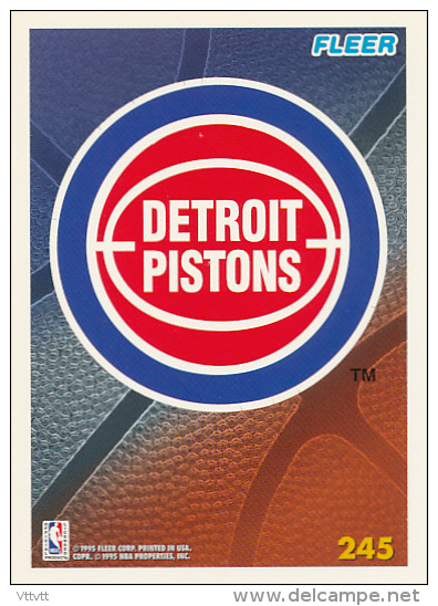 Basket NBA (1995) Fleer Card Terms, DETROIT PISTONS, N° 245, Recto-Verso, Trading Cards - 1990-1999