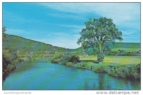 Canada Margaree Forks Bridge Pool Cabot Trail Cape Breton Nova Scotia - Cape Breton