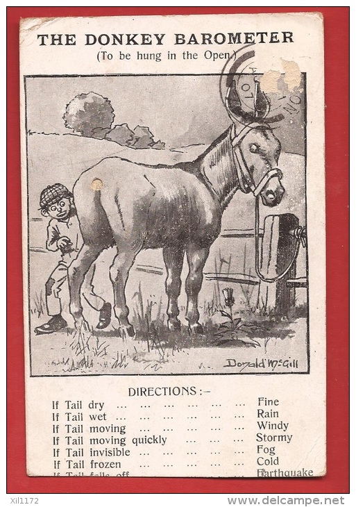 AFAN-062  Donald Mc Gill Humor Humour The Donkey Barometer Meteo, Wind Direction. Circulé Sous Enveloppe. - Mc Gill, Donald