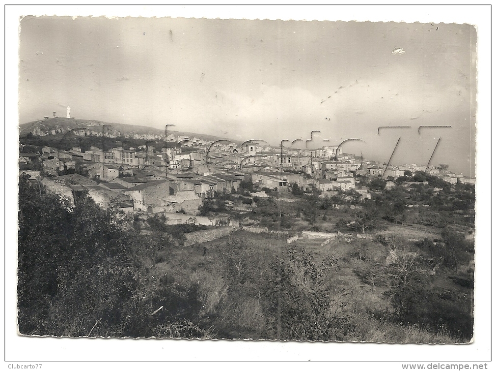 Veyre-Monton (63) :Vue  Générale En 1950 GF. - Veyre Monton