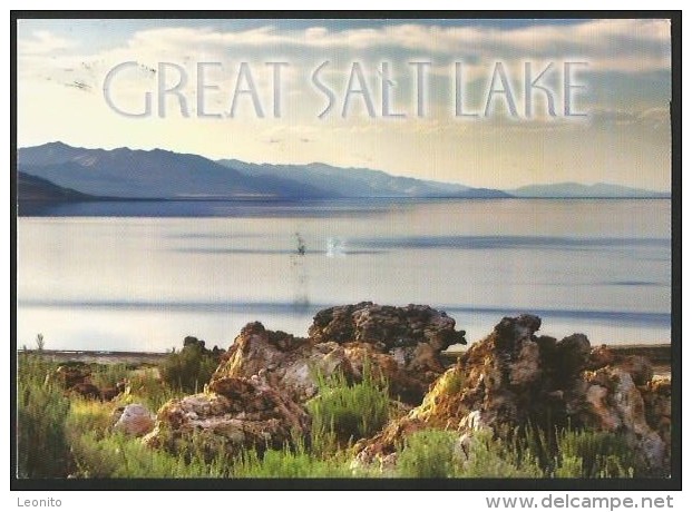 GREAT SALT LAKE UTAH USA Antelope Island State Park Stamp 1969 Dodge Charger Daytona 2013 - Other & Unclassified