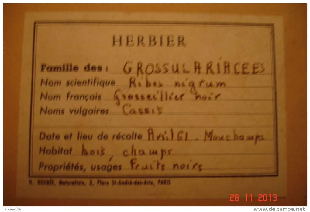 Herbier Origine Vendée Et Alentours .1961.87 Planches Anotées .28X45,4 Cms . - Collections