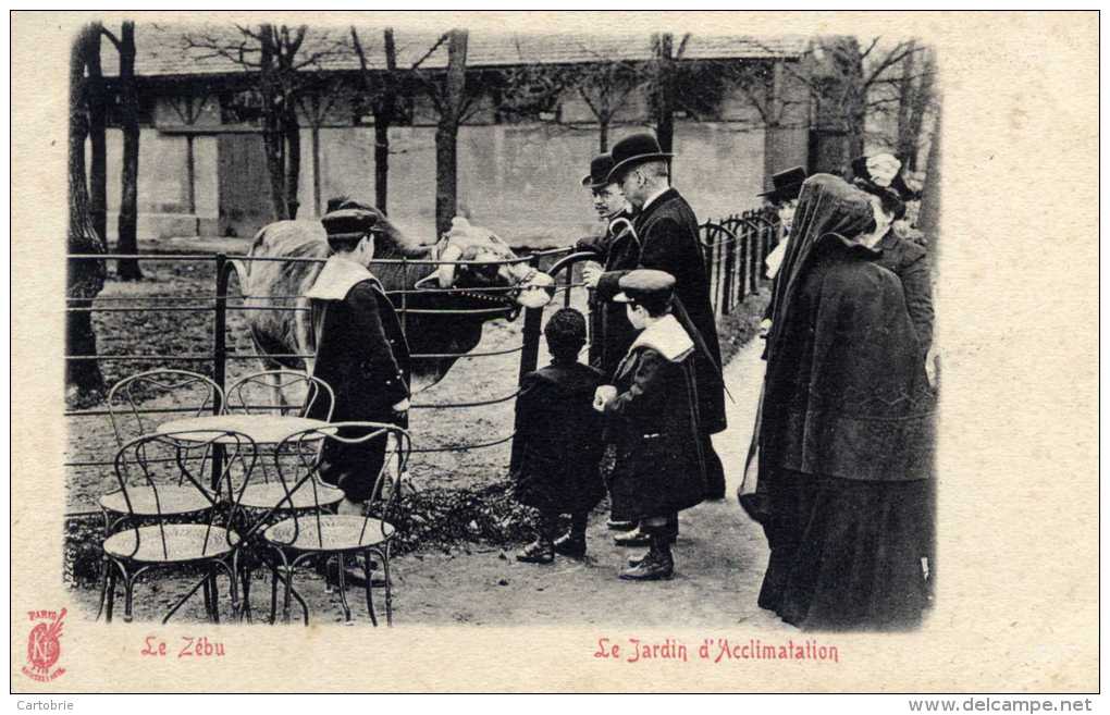75 PARIS-Le Jardin D´Acclimatation- Le ZEBU -Carte Précurseur Dos 1900  Très Animée .Edit KF KUNZLI - Parks, Gardens