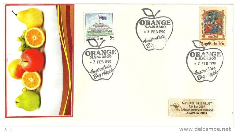 AUSTRALIE. Fruits De New-South-Wales (Australia´s Big Apple) Sur Lettre Du Village D´Orange - Bolli E Annullamenti