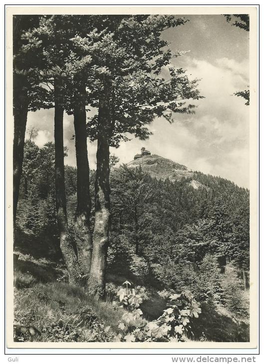 Photo Originale Format 22.5 X 16.5 Cms ) DER JESCHKEN 1010 M Bei REICHENBERG Sudetengau (Tchéquie  Liberec) - Places