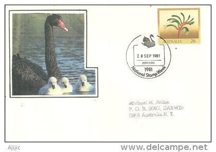 Wildlife Conservation. Perth. Australie.   Cygne Noir. Un Entier Postal Adressé  A Darwin  NT 1981 - Swans