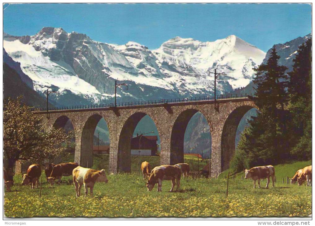 BLS-Lötschbergbahn BLS-Viadukt Bei Frutigen Im Mai - Frutigen