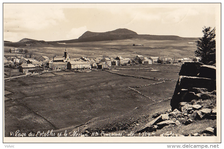 - 43 - Village Des ESTABLES Et Le MEZENC  - - Montfaucon En Velay