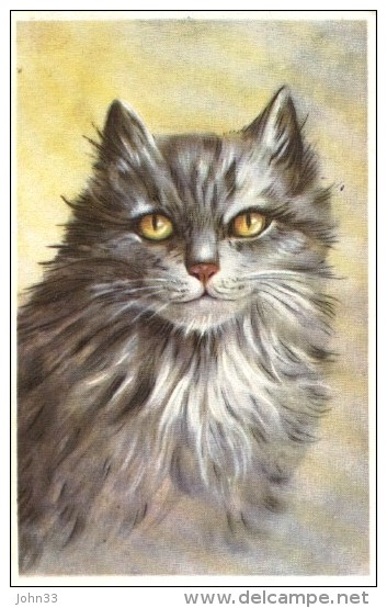 Artist Drawn  -  Handsome And Intelligent-looking Cat - Chats
