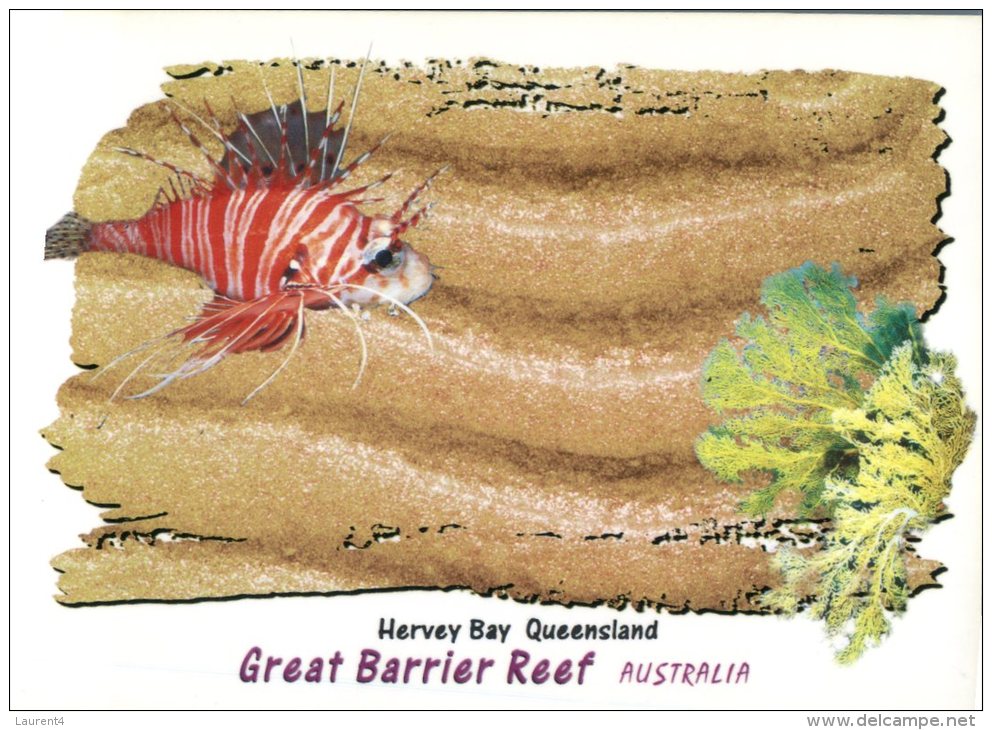 (1000) Australia - QLD - Hervey Bay & Fish - Great Barrier Reef