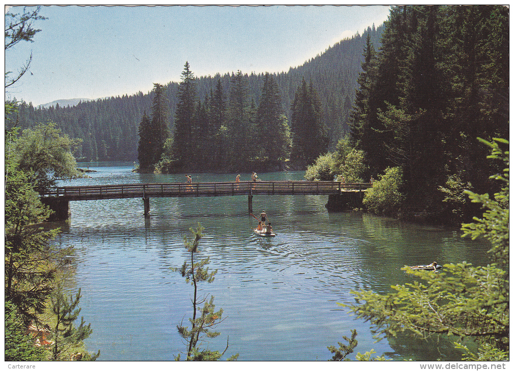 SUISSE,SWITZERLAND,SCHWEIZ,SVIZZERA,HELVETIA,SWISS ,GRISONS,FLEM  ,FLIMS,il Y A 50 Ans,caumasee,pedalo, - Flims