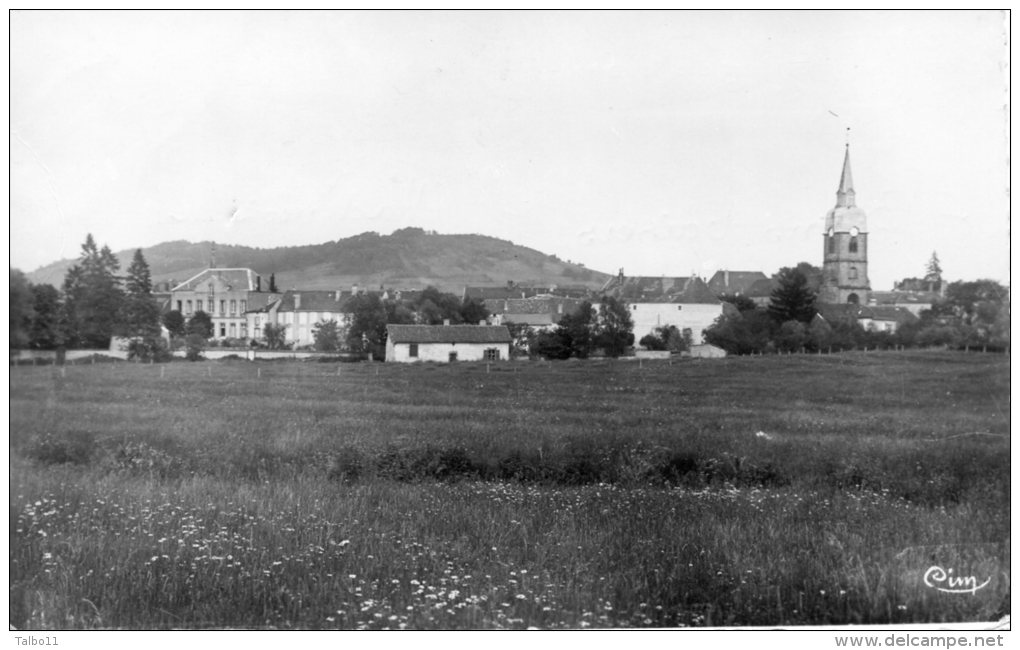 Lamarche - Vue Générale Et Mont Des Fourches - Lamarche