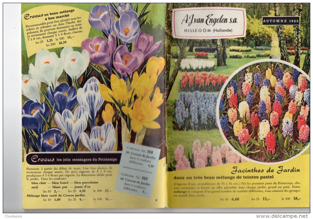 CATALOGUE  FLEURS) PLANTATIONS  50  PAGES  -150 PHOTOS DE FLEURS DIFFERENTES (COULEUR) SUPERBE - Other & Unclassified