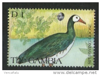 Gambia -  1  Stamp, MNH - Ganzen