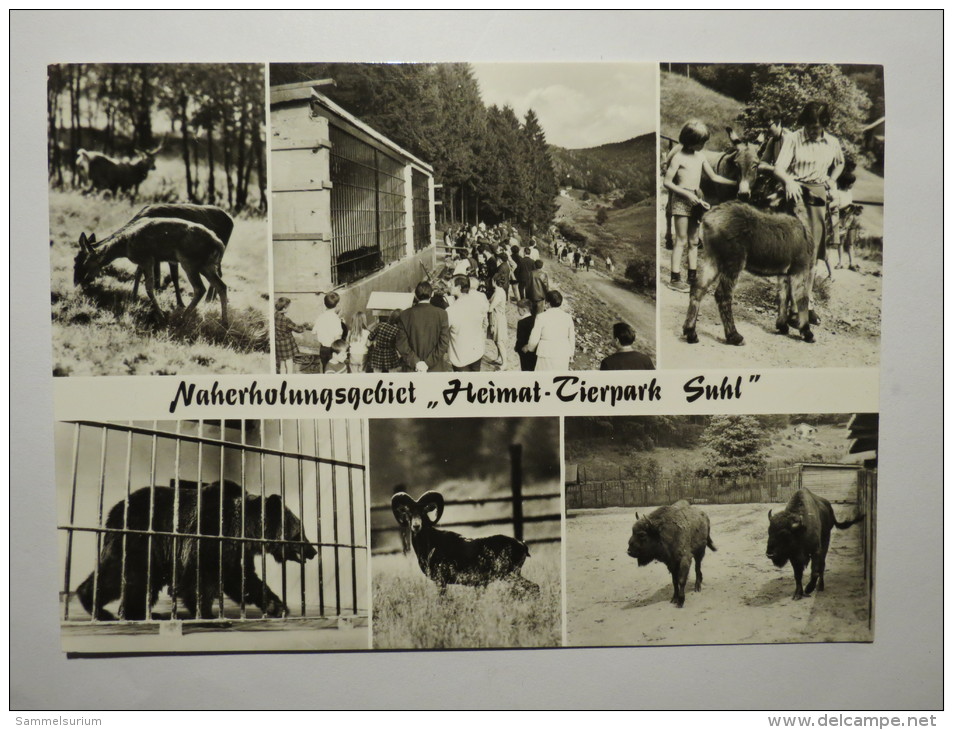 (4/1/68) AK "Suhl" Naherholungsgebiet Heimat-Tierpark - Suhl