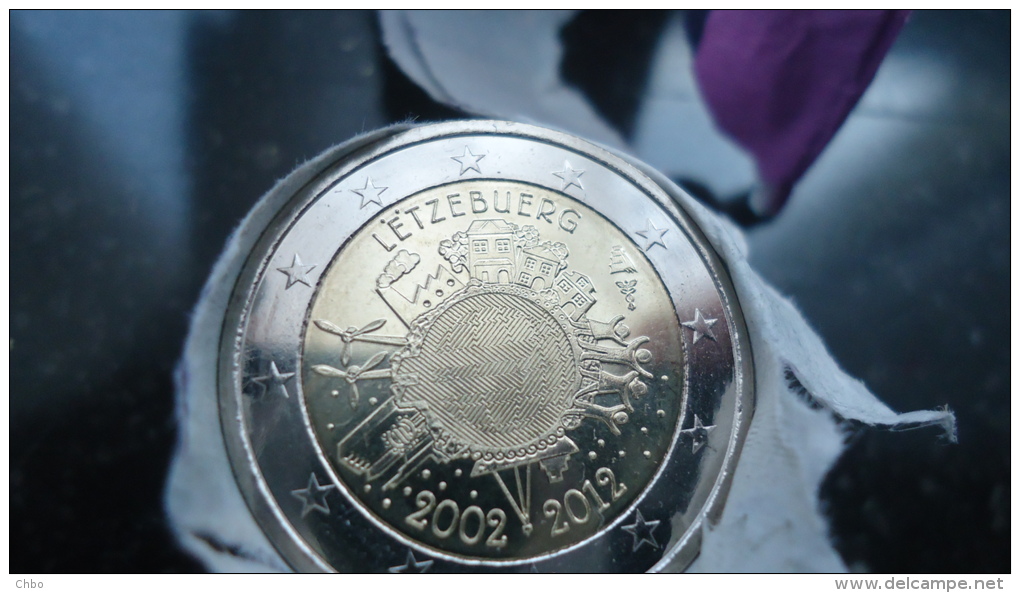 2 Euro  Luxembourg 2012 "10 Ans De L´euro" TYE - Luxembourg