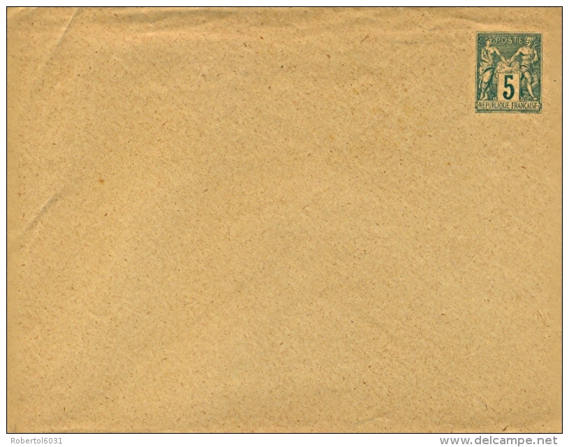 France 1889 Postal Stationery Envelope 5 Cent. Type Sage Sizes 152x118 Mm Unused - Enveloppes Types Et TSC (avant 1995)