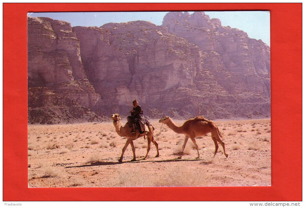 Jordanie - Wadi Rum - Timbre Turc - Jordanie