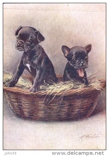 De Reszke Dog Postcard  -  The French Bulldog   -  No. 6 - Chiens