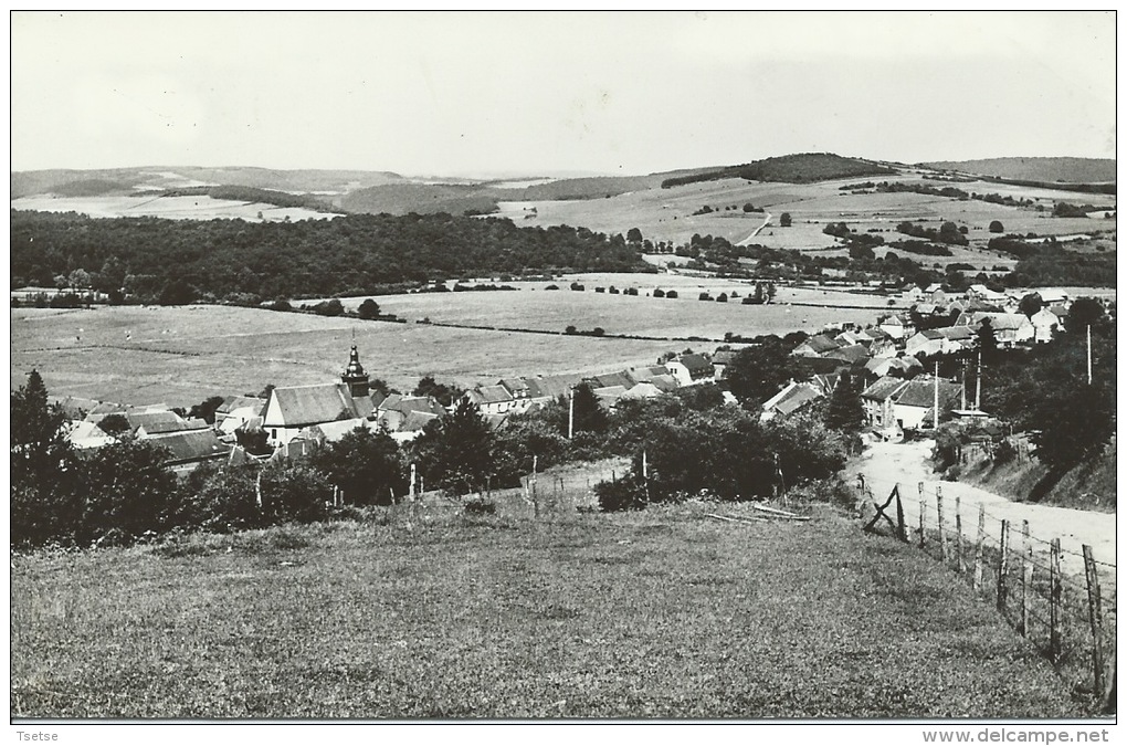 Bure - Panorama … De La Localité -1973 ( Voir Verso ) - Tellin