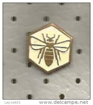 A16 Fly Mouche Pin - Tiere