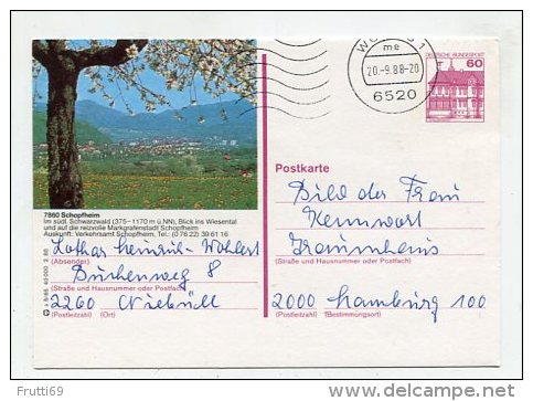 GERMANY - AK 178965 S 5/65 40 000 2.88 Schopfheim - Cartes Postales Illustrées - Oblitérées