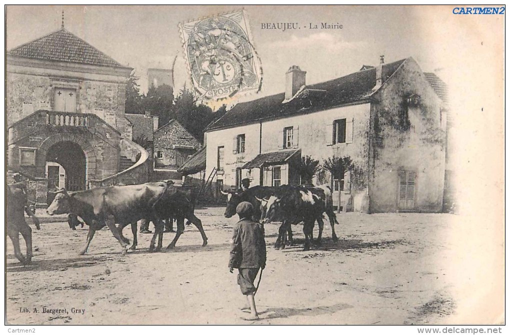 BEAUJEU LA MAIRIE ANIMEE VACHES 70 HAUTE-SAONE 1900 - Andere & Zonder Classificatie