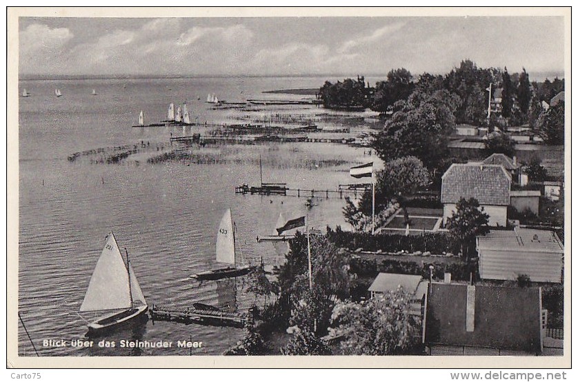 Allemagne -  Blick über Das Steinhuder Meer - Strand Hotel Steinhude - Bâteaux Voiliers - Steinhude