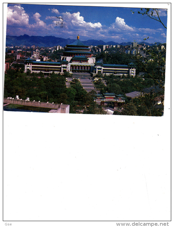 CINA R.P,  1993 - Cartolina Per L´Italia  - Insetti - Storia Postale