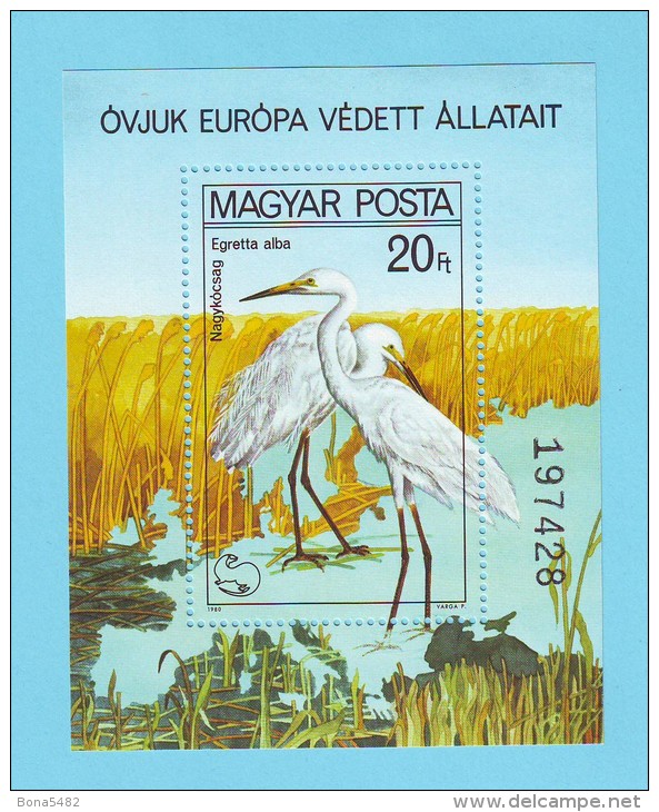 HONGRIE MAGYAR POSTA OISEAUX AIGRETTES 1980 / MNH** / BN 155 - Picotenazas & Aves Zancudas