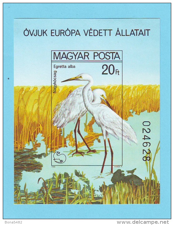 HONGRIE MAGYAR POSTA OISEAUX AIGRETTES 1980 / MNH** Et NON DENTELE / BN 156 - Storchenvögel