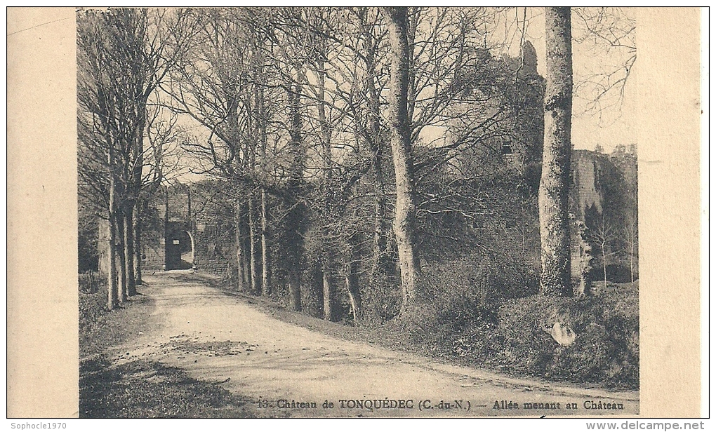 BRETAGNE - 22 - COTES D'ARMOR - TONQUEDEC - Allée Menant Au Château - Tonquédec