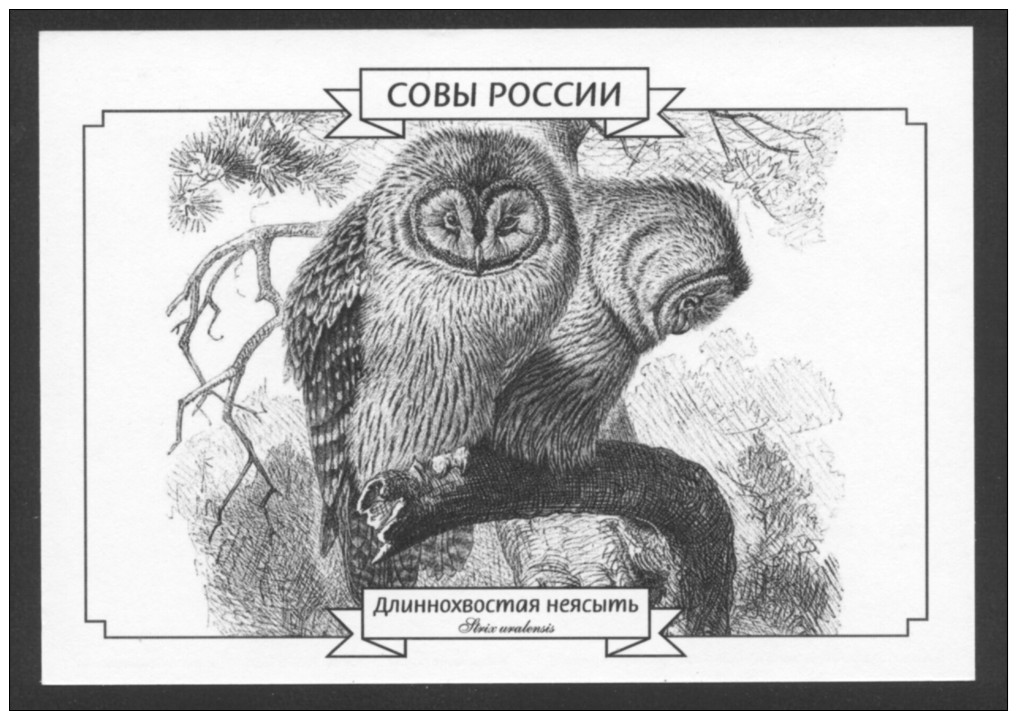 SALE ! ALL FROM 1 EURO ! ** Postal Stationery Russian Owls #1 (of 5) Strix Uralensis Ural Owl - Eulenvögel