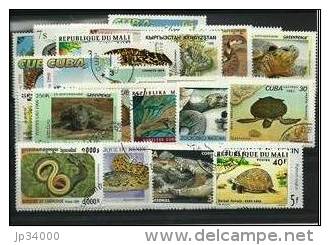 REPTILES Lot De 50 Timbres Tous Differents. Satisfaction Assurée - Autres & Non Classés