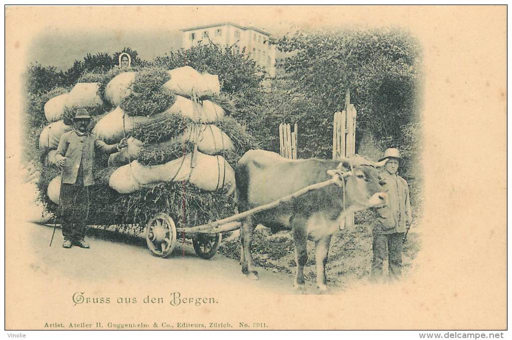 Réf : RO-13-035  : Gruss Aus Den Bergen Attelage Boeuf Agriculture Ramassage De Fourrage - Berg