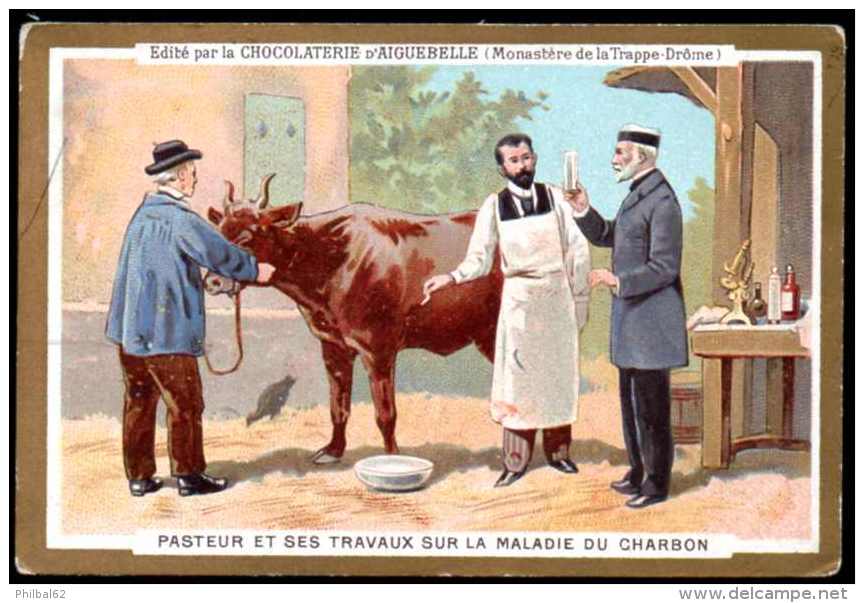 Chromo Chocolat D´Aiguebelle : Thème Médecine, Pasteur : Pasteur Et Ses Travaux Sur La Maladie Du Charbon. - Aiguebelle