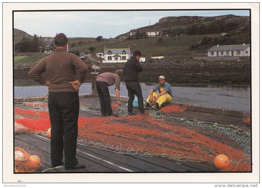 BT18204 Spreading The Nets At Kinlochbervie Pier Sutherland   2 Scans - Sutherland