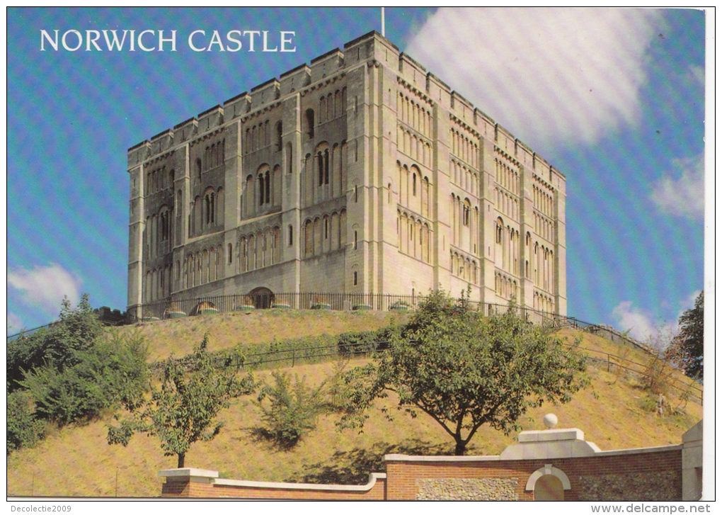 BT183222 Norwich Castle    2 Scans - Norwich