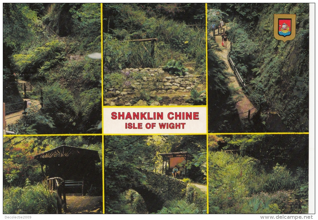 BT183223 Shanklin Chine Isle Of Wight    2 Scans - Autres & Non Classés