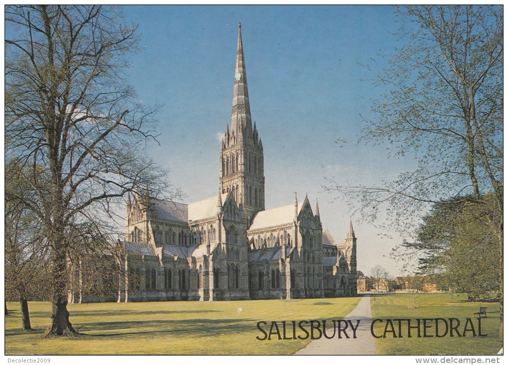 BT18353 Salisbury Cathedral     2 Scans - Salisbury